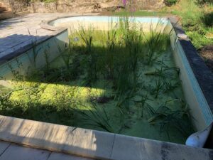 RÉNOVATION DE PISCINE À BORDEAUX