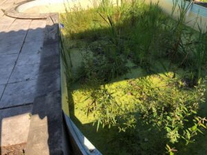 RÉNOVATION DE PISCINE À BORDEAUX